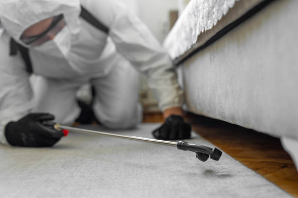 Professional Pest Control technician working in North Lynnwood, WA