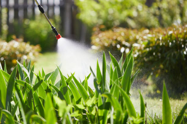 24/7 Emergency Termite Control experts in North Lynnwood, WA
