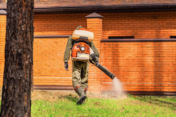 Trusted Mosquito Control service in North Lynnwood, WA - Nex Pest Control